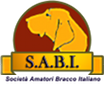 logo_sabi