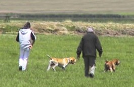 Bottani e Marzano in turno di coppia con Alboino e Laerte.