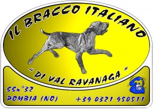 Il Bracco Italiano di Val Ravanaga