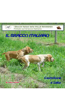 Il bracco italiano in azione Alcune scene di caccia e prove di lavoro dei bracchi italiani