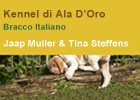 Bracco Italiano Kennel Di Ala D'Oro