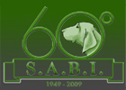 S.A.B.I Societa' Amatori Bracco Italiano