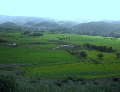 Panorama delle zone di prova su pernici sarde