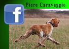 Link Caravaggio