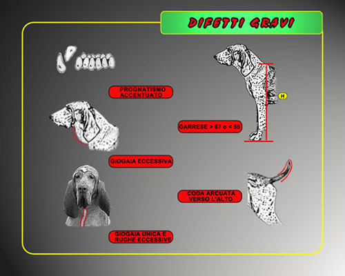 20-difetti gravi